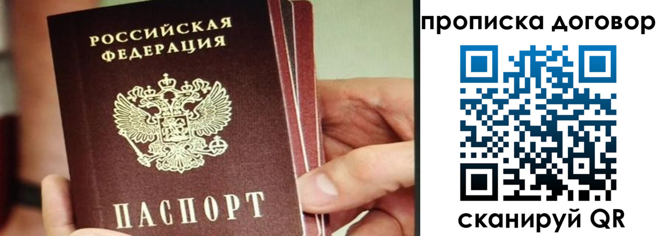 прописка в Невеле